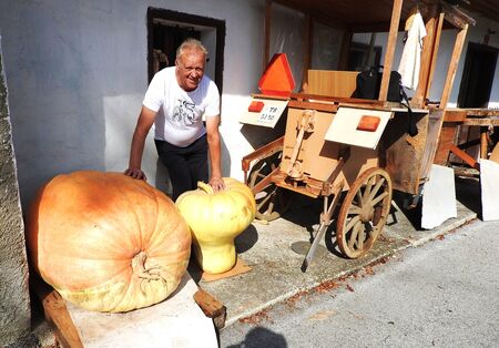 Najtežja Cirilova buča  na Tratarjevi kmetiji tehta 225 kilogram (1)